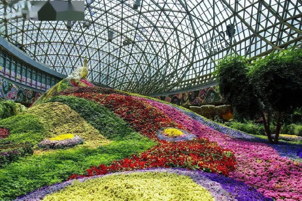 花草温室